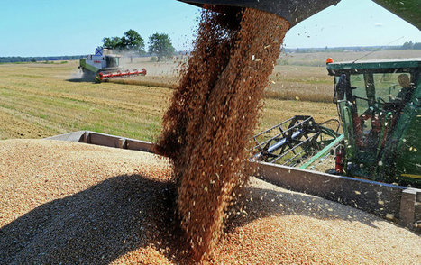 Russia State Support of Agriculture Exports to Result in 27% Growth by 2020 | CONFLIT RUSSO-UKRAINIEN | Scoop.it