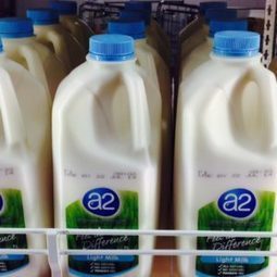 A2 Milk : Des résultats semestriels exceptionnels | Lait de Normandie... et d'ailleurs | Scoop.it