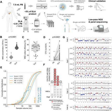 Ultra-sensitive CTC-based liquid biopsy for pancreatic cancer enabled by large blood volume analysis | Molecular Cancer | Full Text | from Flow Cytometry to Cytomics | Scoop.it