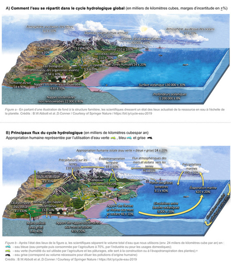 Il faut enseigner le vrai cycle de l'eau pour mieux comprendre les enjeux actuels | Insect Archive | Scoop.it