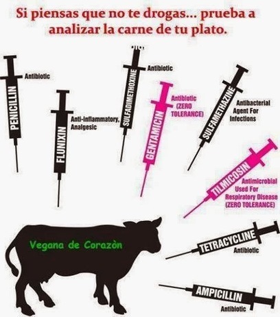 Si piensas que no te drogas... prueba a analizar la carne de tu plato | PIENSA en VERDE | Scoop.it