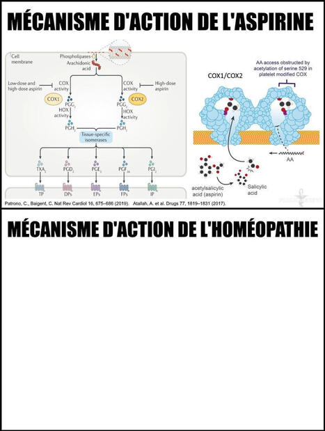 Steve Claude posted on | H&eacute;sitations Vaccinales: Observatoire HESIVAXs | Scoop.it