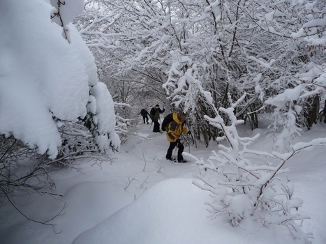 Pyrénées/raquettes : neige fraîche dans le val d’Aube | Le blog de Michel BESSONE | Vallées d'Aure & Louron - Pyrénées | Scoop.it