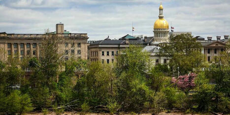 Half US states don&rsquo;t have enough cash to pay their bills: report - Raw Story | Backstabber Watch | Scoop.it