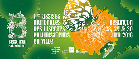 Premières Assises nationales des pollinisateurs en ville : Il est encore possible de s’y inscrire ! | Variétés entomologiques | Scoop.it