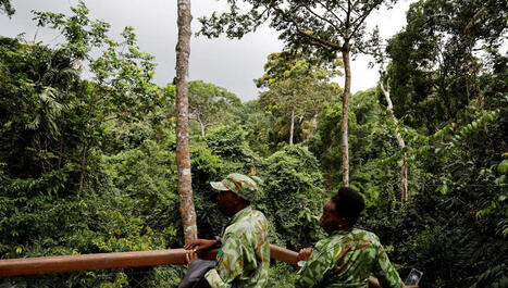 Des for&ecirc;ts et des hommes : un podcast &agrave; &eacute;couter en ligne | &Eacute;cosyst&egrave;mes Tropicaux | Scoop.it