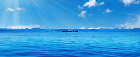 A Nondisruptive Approach to the Environment | Blue Ocean Strategy | Scoop.it