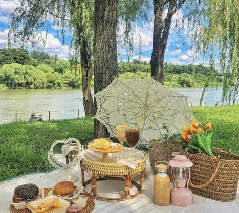 Korean travelers & picnics | South Korean & VietnameseTravellers | Scoop.it