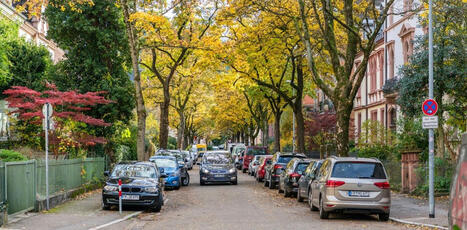 &lsquo;Small, flowering islands&rsquo;: German city reveals how nature thrives when neighbours care for street tree beds | ESPACES VEGETALISES URBAINS | Scoop.it