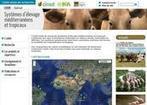 Le site de l’unité mixte de recherche Systèmes d’élevage méditerranéens et tropicaux - CIRAD | SCIENCES DE L' ANIMAL | Scoop.it