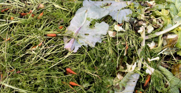 Transformer les d&eacute;chets agricoles en &eacute;nergie (Biocarburants) | Innovation Agro-activit&eacute;s et Bio-industries | Scoop.it