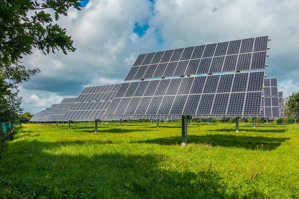 Une ferme gigantesque vendue pour un projet solaire : les controverses de l’agrivoltaïsme
