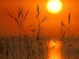 L'humanité modifie "pour les siècles à venir, et à un rythme jamais vu, le climat de la planète" - notre-planete.info | Planète, Nature et Biodiversité | Scoop.it