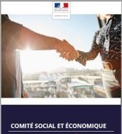 Entreprises : mettez en place votre CSE - Direccte Ile-de-France | Virginie Do Carmo | Scoop.it