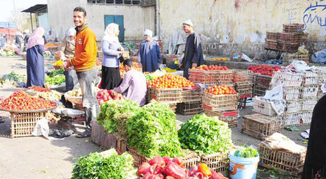 Egypt: world food prices rise further, raising fears of unrest | CIHEAM Press Review | Scoop.it