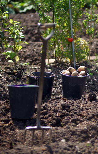Master Gardeners Spring Offerings | Gardening Life | Scoop.it