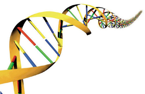 DNA Robots Programmed to Kill Cancer Cells, Harvard Study Shows - Businessweek | Longevity science | Scoop.it
