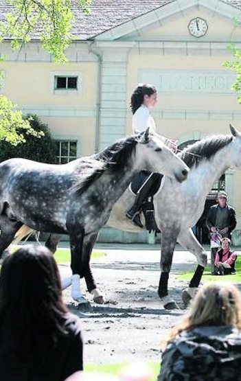 Les haras de Tarbes et de Villeneuve-sur-Lot en vente | Cheval et Nature | Scoop.it