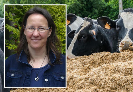 Vaches laitières : les 8 conseils de Valérie Brocard pour maîtriser les coûts alimentaires | Actualités de l'élevage | Scoop.it