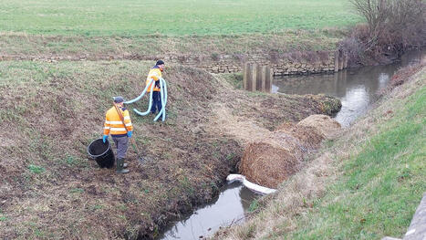 &laquo; Une forte odeur de fioul et des aur&eacute;oles bleu&acirc;tres &raquo; : pollution dans une rivi&egrave;re de Seine-Maritime / le 29.12.2025 | Pollution accidentelle des eaux (+ d&eacute;chets plastiques) | Scoop.it