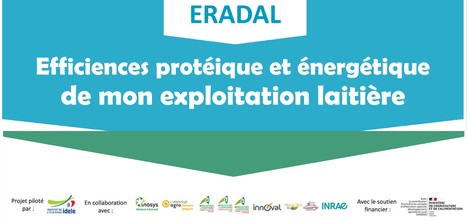 Calculer les efficiences protéique & énergétique de son élevage laitier | Lait de Normandie... et d'ailleurs | Scoop.it