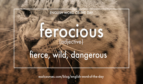 English Word of The Day &ndash; Ferocious | English Word Power | Scoop.it
