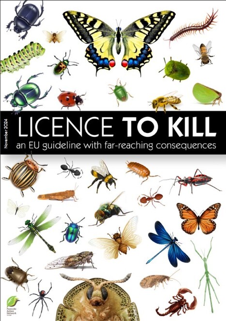 La rapidité de l’effondrement des populations d’insectes confirmée par une expérience de science participative | Variétés entomologiques | Scoop.it
