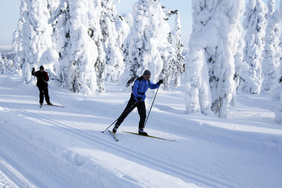 Talvilajit - Suomen Latu | 1Uutiset - Lukemisen t&auml;hden | Scoop.it