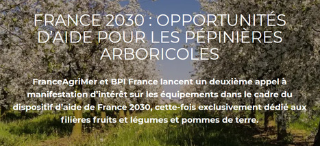 Opportunités d’aide pour les pépinières arboricoles | HORTICULTURE | Scoop.it