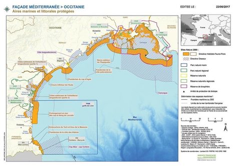 Sentinelles de la Mer Occitanie-Newsletter Novembre | Biodiversité | Scoop.it