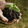 Biodiversité