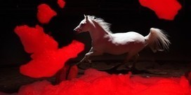 On achève bien les anges par Bartabas, captation intégrale du spectacle | Revue de presse théâtre | Scoop.it