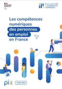 Compétences numériques : quelle maîtrise pour les personnes en emploi en France ? | Innovation et transformation pédagogique | Scoop.it
