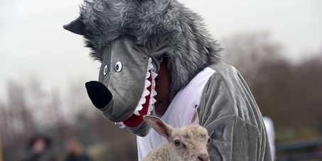 « Cessons de diaboliser le loup ! » | Pastoralisme Ours Loups Lynx | Scoop.it