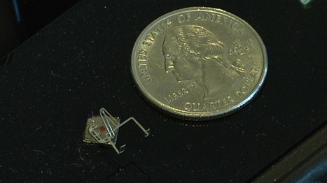 Amazing bug-sized robots can build microstructures - PCWorld | Peer2Politics | Scoop.it