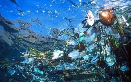 Inside The Great Garbage Patch of the World - The Plastic Curse. A WAKE-UP CSR WATCH | CORPORATE SOCIAL RESPONSIBILITY – | Scoop.it