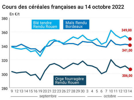 COTidienne | Prix des céréales - Retrait des cours des céréales alors que les négociations sur le corridor d'export sur la mer Noire se poursuivent - Le Petit Meunier, La Dépêche | Agriculture et Alimentation Durable Méditerranéenne | Scoop.it