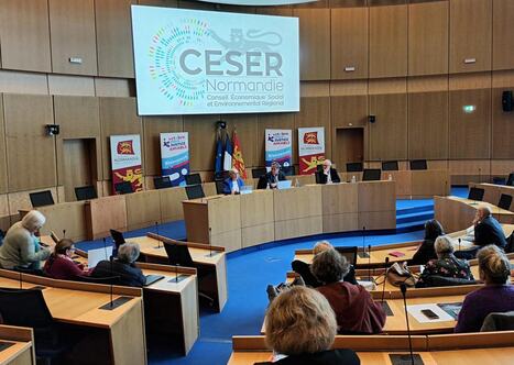 Rendre les Ceser facultatifs&nbsp;: une "simplification" qui passe mal | Veille juridique du CDG13 | Scoop.it