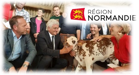 Les Laiteries et la Région Normandie s'engagent pour enrayer le déclin de la vache normande | Lait de Normandie... et d'ailleurs | Scoop.it