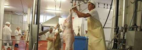 Réouverture en perspective pour l'abattoir de Condom - Le journal du Gers | La Gazette des abattoirs | Scoop.it