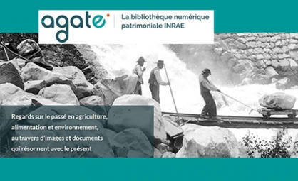 Découvrez Agate, la bibliothèque numérique patrimoniale d'INRAE - Horti'doc | Boîte à outils numériques | Scoop.it