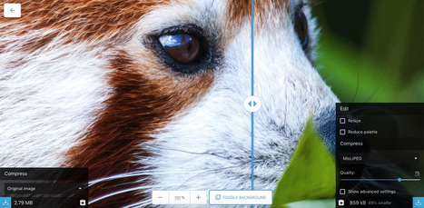 Meet Squoosh, Google’s powerful new image converter that works in any browser – BGR.com | Moodle and Web 2.0 | Scoop.it