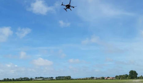 Retour d'expériences : la détection des chardons par drone se démocratise - Agri mutuel | Pour innover en agriculture | Scoop.it