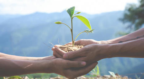 Sant&eacute;-environnement : le CESE adopt&eacute; son avis - Pour une politique publique nationale de sant&eacute; environnement au c&oelig;ur des territoires | COVID-19 : Le Jour d'apr&egrave;s et la biodiversit&eacute; | Scoop.it