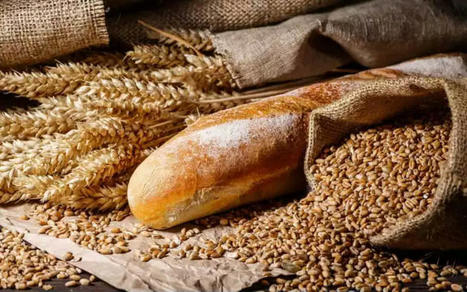 Le MAROC contraint d'importer du blé | CIHEAM Press Review | Scoop.it