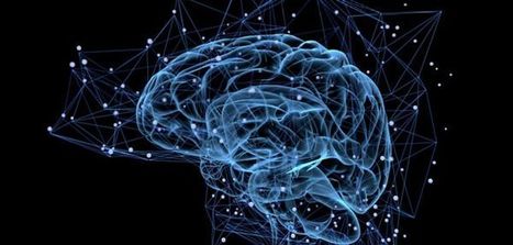Comment protéger nos cerveaux du piratage ? | Neurosciences et digital | Scoop.it