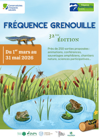 Animation "Fr&eacute;quence Grenouille" &agrave; Aulon le 30 mai | Vall&eacute;es d'Aure & Louron - Pyr&eacute;n&eacute;es | Scoop.it
