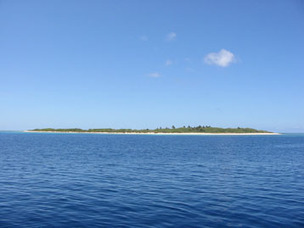 Les îles françaises et leur biodiversité menacées par la hausse du niveau de la mer | Biodiversité | Scoop.it