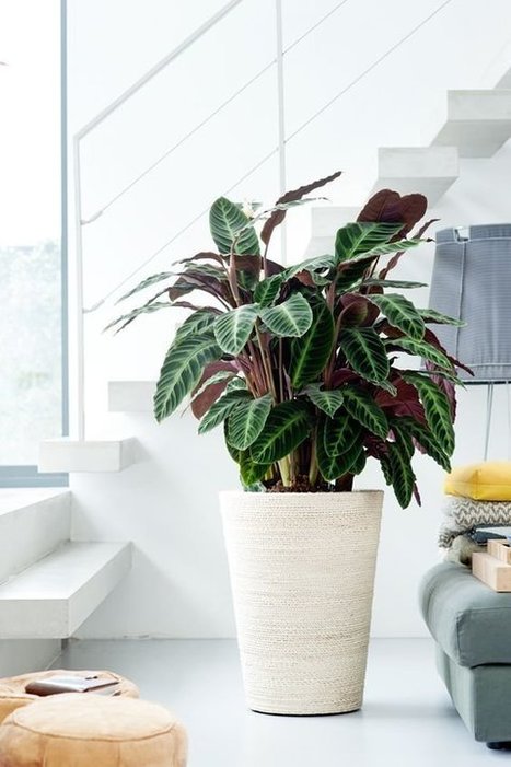 Les tendances déco 2018 repérées sur Pinterest | Maison connectée & déco 3.0 | Scoop.it
