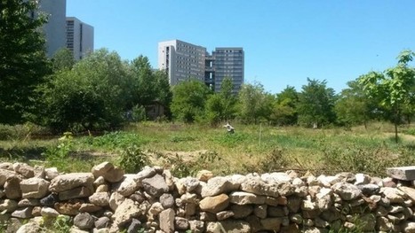 Agriculture urbaine et joyeuse sur un d&eacute;laiss&eacute; autoroutier de Nanterre | Paysage - Agriculture | Scoop.it